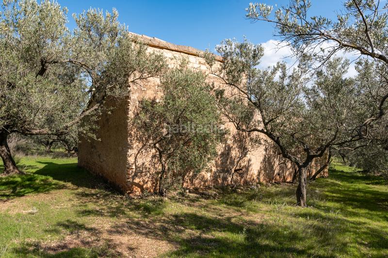 Foto f9252fb4-1813-469d-80a2-354bc755058d. Finca rústica gran finca de olivos con masía en Roquetes