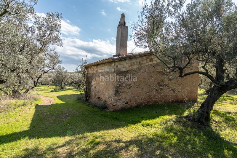 Foto ff6578dd-209b-4449-9583-9a9c17fbb77a. Finca rústica gran finca de olivos con masía en Roquetes