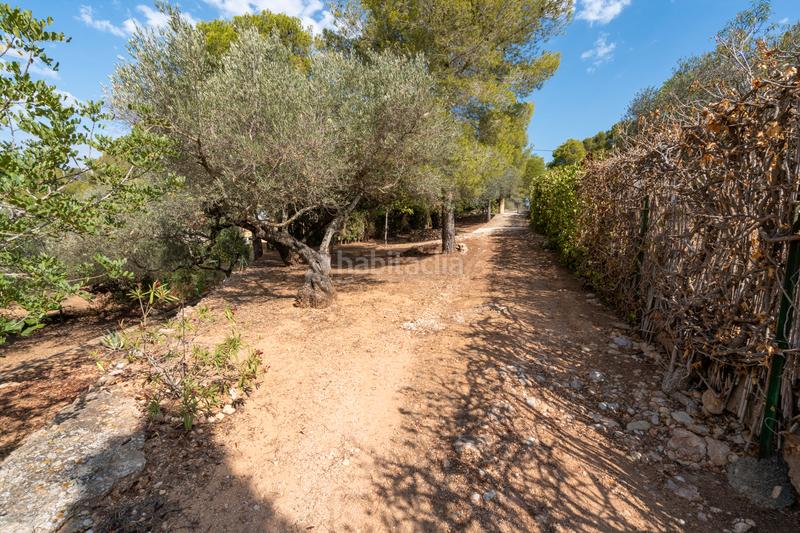 Foto 08d1d4c6-f6f6-41cb-9c86-6c19e9fe8f26. Terreno residencial finca urbana con una balsa cerca en Tortosa