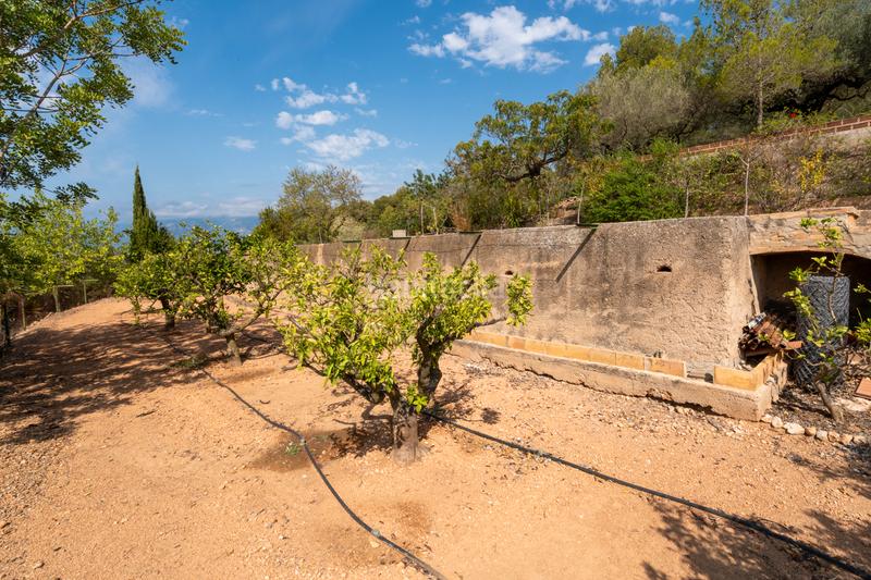 Foto 7cf9bee5-173e-4a69-b9a7-18699edf6231. Terreno residencial finca urbana con una balsa cerca en Tortosa