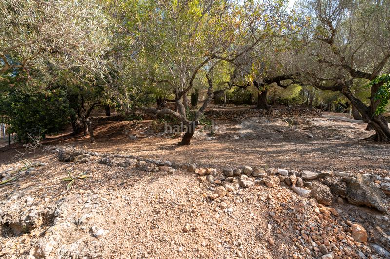 Foto 8c142562-ece5-4eab-8297-1b7b457a7676. Terreno residencial finca urbana con una balsa cerca en Tortosa