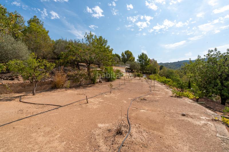 Foto 9a735417-0919-4dad-8b0d-8f4c5279418a. Terreno residencial finca urbana con una balsa cerca en Tortosa