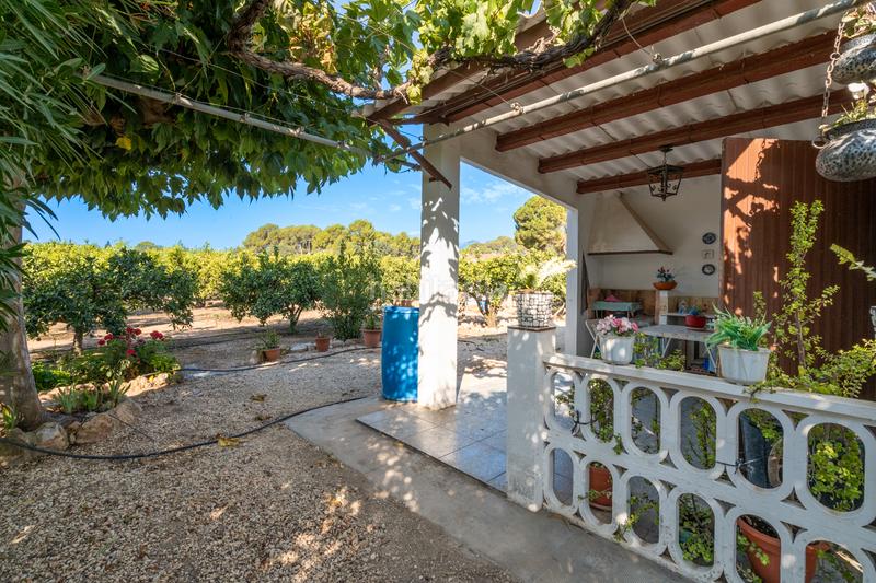 Foto 00b3bc73-cdb0-4c58-9379-75ba48917947. Finca rústica a Roquetes