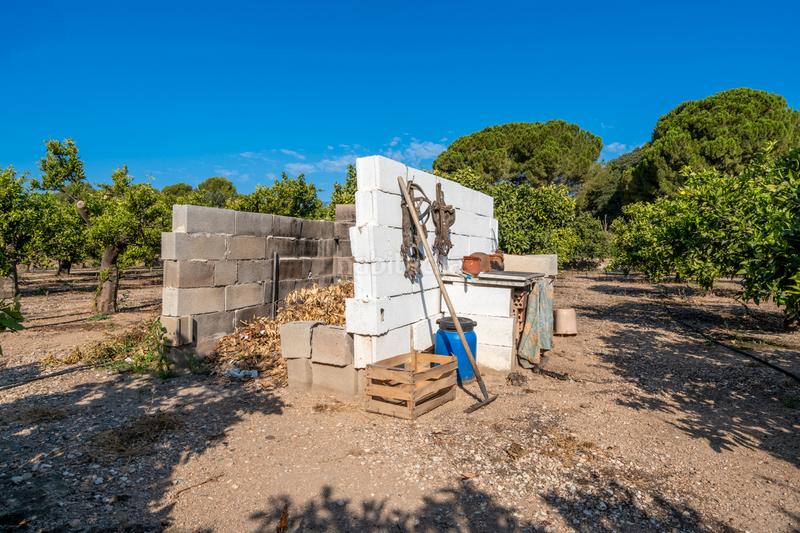 Foto 2536a41e-dd3d-4bb1-9df8-96225c7a32fe. Finca rústica a Roquetes