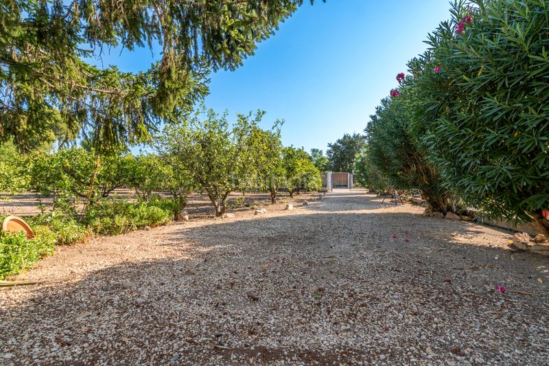 Foto 2f5d5e3e-fb54-4bfd-a726-99d55c8212ba. Finca rústica a Roquetes