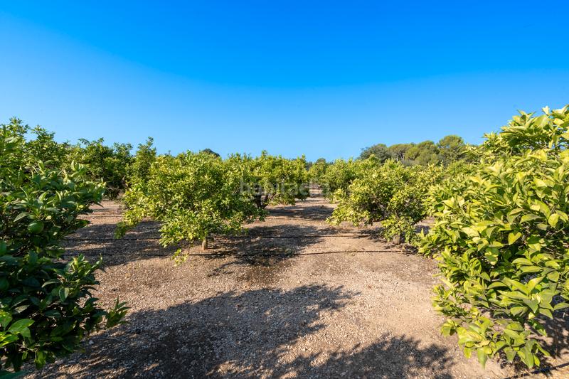 Foto 4261e2d6-4086-4d00-88d2-c15bb913267e. Finca rústica a Roquetes