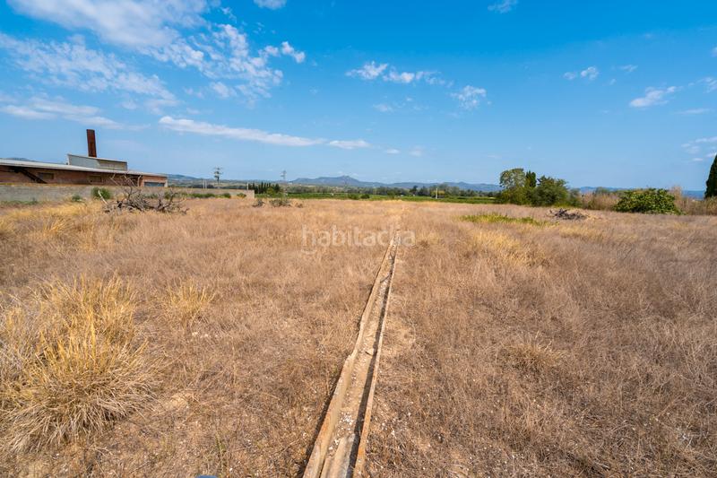 Foto 95b1f834-2e75-4004-b152-6850cdc32289. Finca rústica  con casa de campo y agua en Ginestar