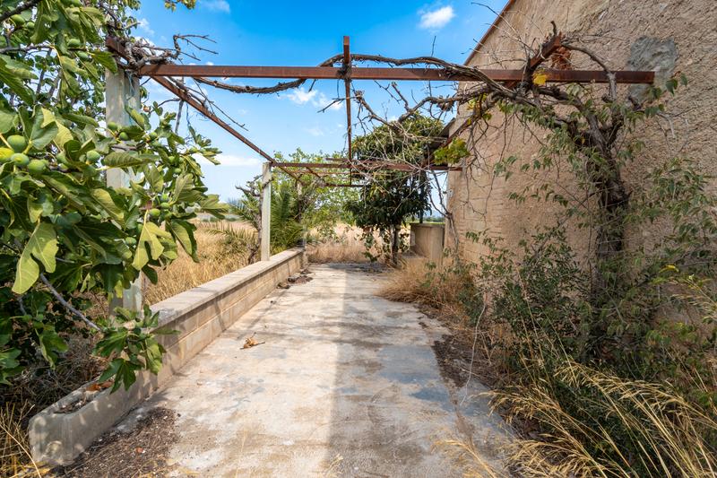 Foto b4cfaf02-ad20-4313-970b-c4ee1c66efed. Finca rústica  con casa de campo y agua en Ginestar