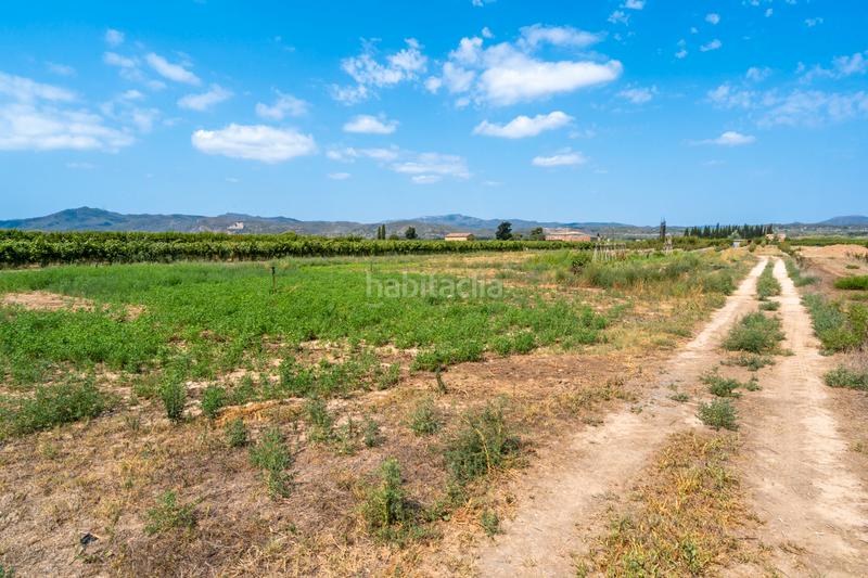 Foto 3b4e4dcd-e584-4885-bb69-102c683d6f48. Finca rústica  ideal para hacer huerto cerca en Ginestar