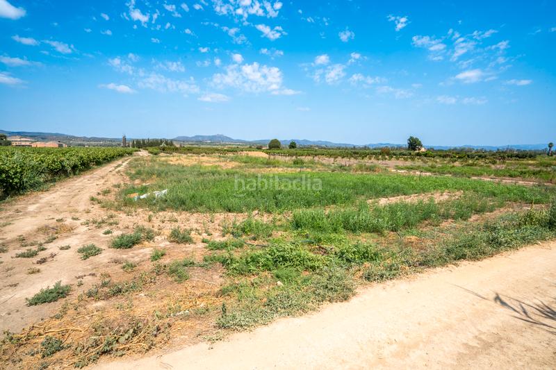 Foto fae46103-4cf7-475b-895b-fbc61b6ea4c6. Finca rústica  ideal para hacer huerto cerca en Ginestar