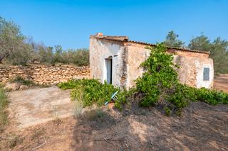 Landgut in Urbanitzacions. Finca rústica de olivos y algarrobos. casa de aperos para reform