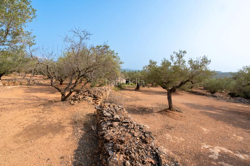 Foto 181b9719-3f52-4bf0-91e8-9347650ba613. Rural plot in Urbanitzacions Tortosa