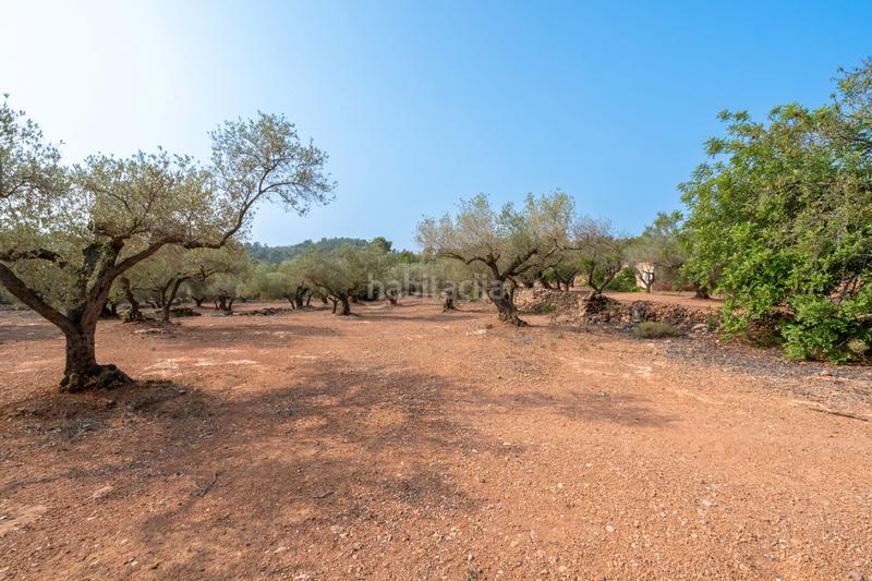 Foto 1ba269ae-6b88-4a44-819b-f994f03f9abf. Rural plot in Urbanitzacions Tortosa