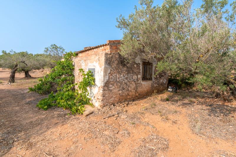 Foto 1c653959-9265-49c9-be58-1e9b64e378b1. Rural plot in Urbanitzacions Tortosa