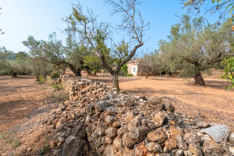 Foto 3291ad92-533c-4238-9584-4484e9586b3a. Rural plot in Urbanitzacions Tortosa