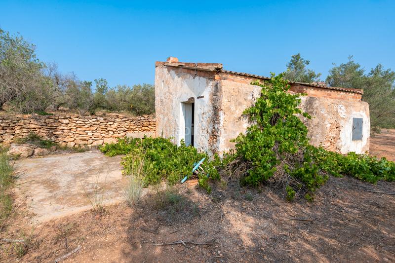 Foto 511a6bc4-6308-4443-8b4c-c708410a1719. Rural plot in Urbanitzacions Tortosa