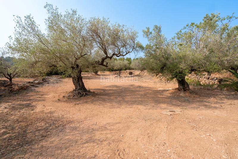 Foto 777f5785-2498-412c-9053-cf01b4b986b9. Rural plot in Urbanitzacions Tortosa