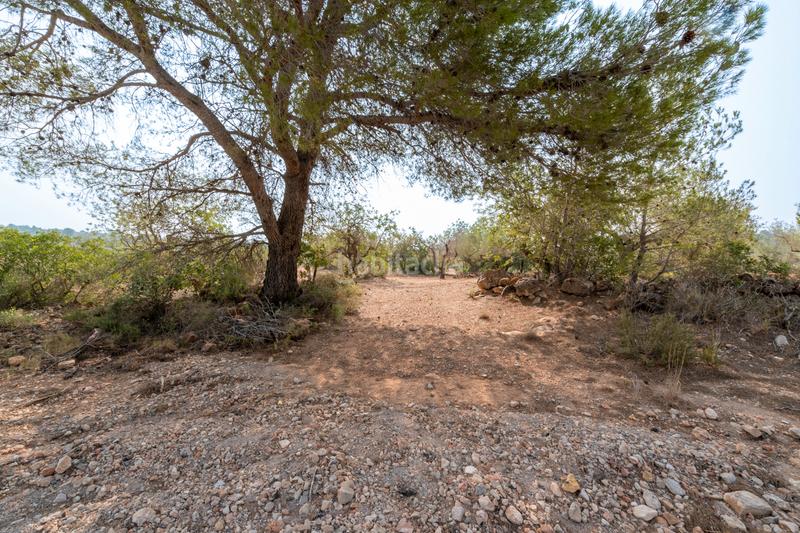 Foto 8b1c5823-706d-4371-b5f7-b48d2bce6c99. Rural plot in Urbanitzacions Tortosa