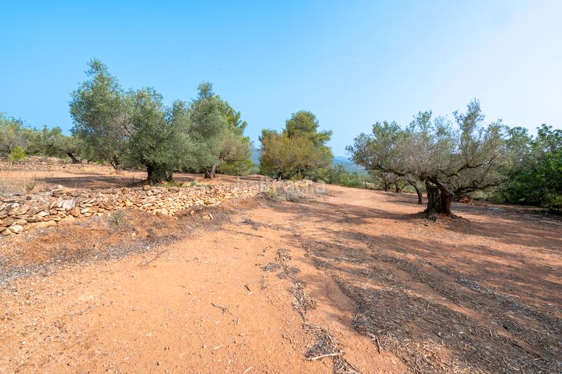 Foto 9ab4c313-d567-41d6-a81f-88202abbe687. Rural plot in Urbanitzacions Tortosa