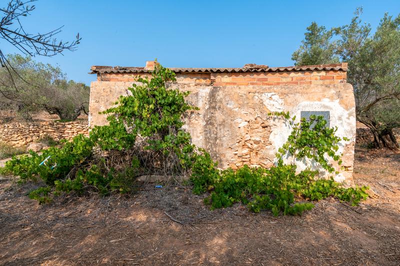 Foto 9f441a5c-e889-4335-b8e1-a399566f682d. Rural plot in Urbanitzacions Tortosa