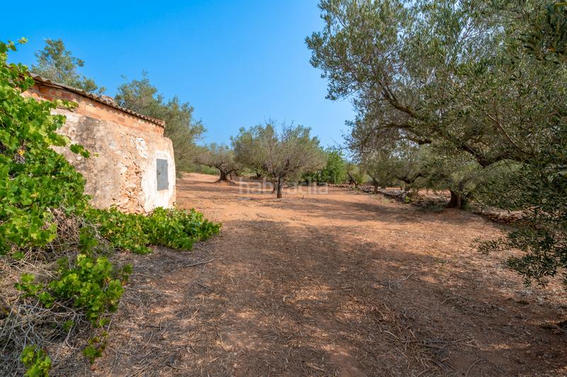 Foto acb10ade-a9f0-4a79-ab29-19b212c77dbe. Rural plot in Urbanitzacions Tortosa