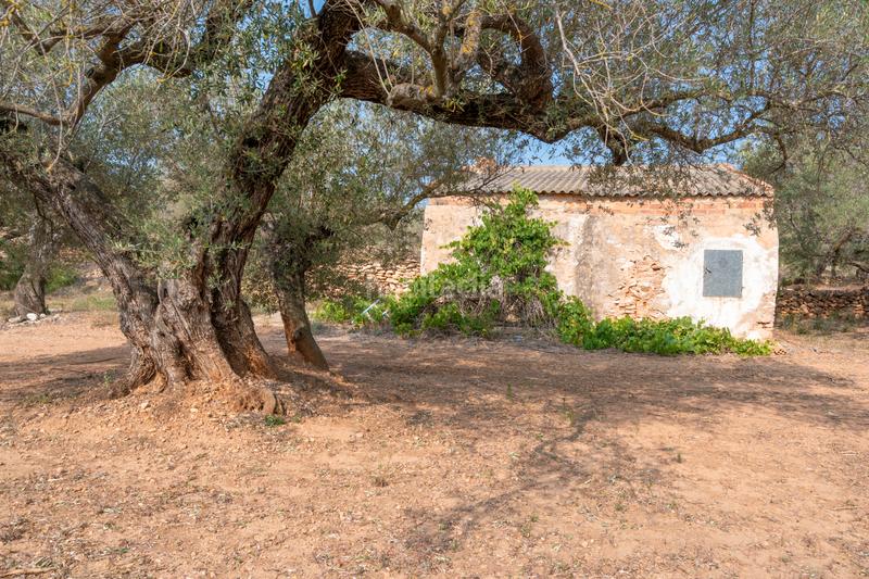 Foto ddc5764e-f1ae-406a-9f80-b6fb802eeb3a. Rural plot in Urbanitzacions Tortosa