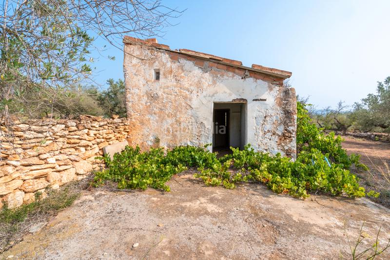 Foto ff75ccf5-f46e-4749-8e8d-5ebfcf9bec0d. Rural plot in Urbanitzacions Tortosa