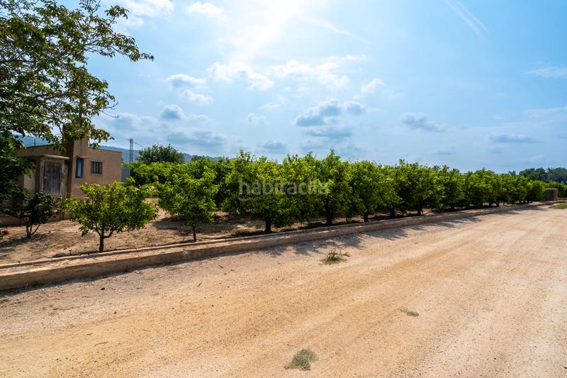 Foto 784ad080-a4d9-4021-ae57-5e688b6a6862. Finca rústica huerto con mandarinos cerca de Bítem en Tortosa