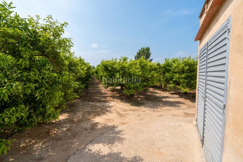 Foto b2da2dcd-2862-46bc-bc86-28921bea15e2. Finca rústica huerto con mandarinos cerca de Bítem en Tortosa