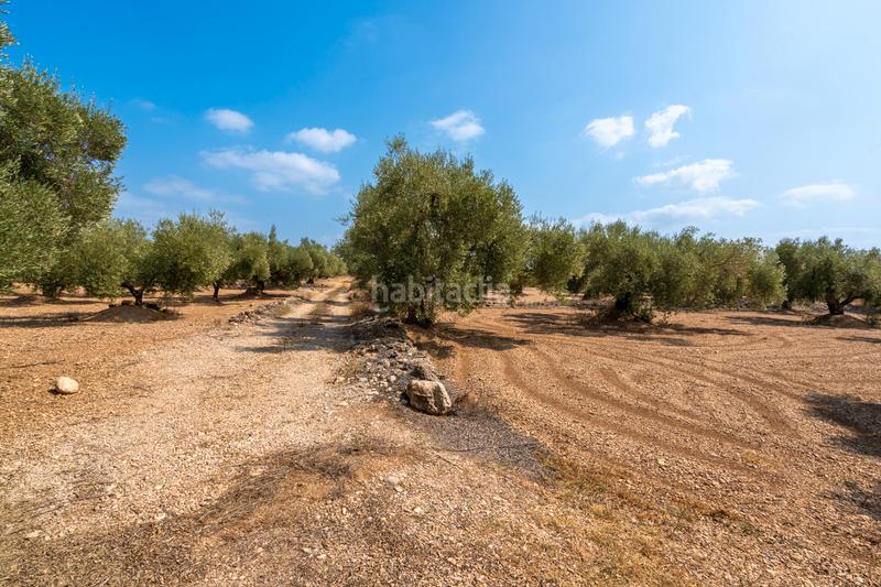 Foto c8d7f0da-965c-4ea9-ab15-71289a7bd009. Landgut in Ulldecona