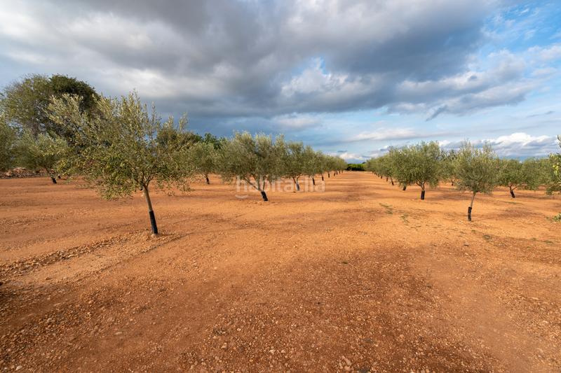 Foto 0b18f709-9930-45ec-aa65-df8e7e567c48. Rural plot in t-331 12 in Masdenverge