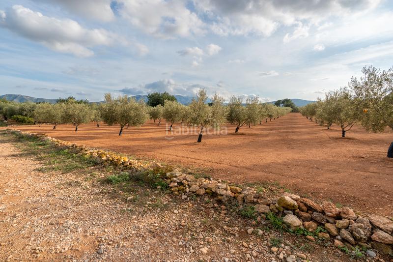 Foto 22b63d3f-e967-4561-9494-49e0f71c99b4. Rural plot in t-331 12 in Masdenverge