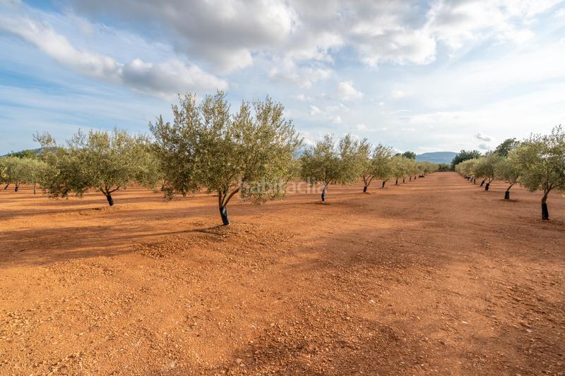 Foto 23148630-425d-428b-91e1-2fba2bd6ed15. Rural plot in t-331 12 in Masdenverge