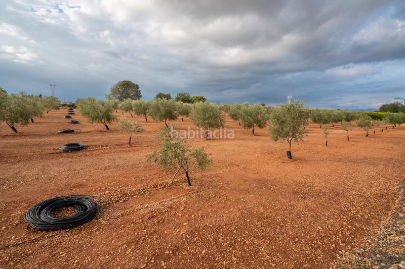 Foto 6400e49b-f3f9-4b04-8e70-60e76baea373. Rural plot in t-331 12 in Masdenverge