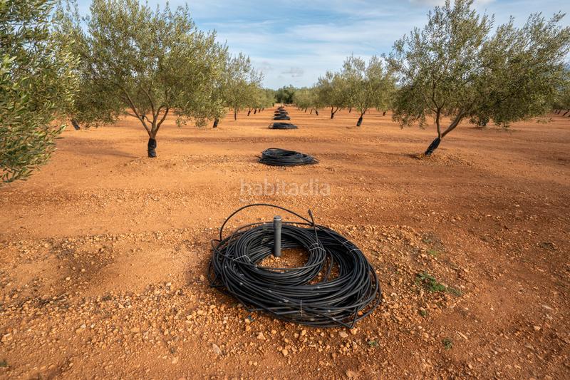 Foto aad5b385-62ce-44fe-9ce2-2e92c8da7fdb. Rural plot in t-331 12 in Masdenverge