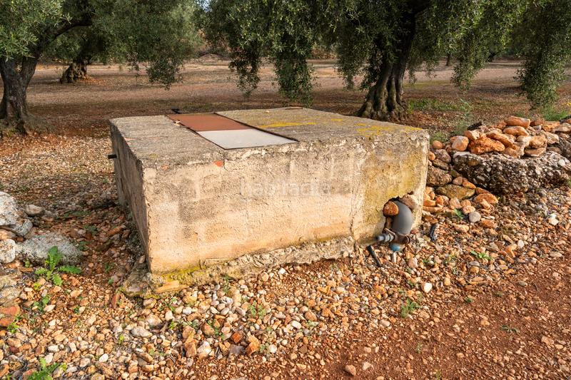 Foto c151c136-4547-46dd-8645-b2b2551909b8. Rural plot in t-331 12 in Masdenverge