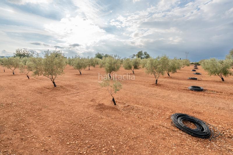 Foto c75c6f7b-8449-4110-b563-6870432ced07. Rural plot in t-331 12 in Masdenverge