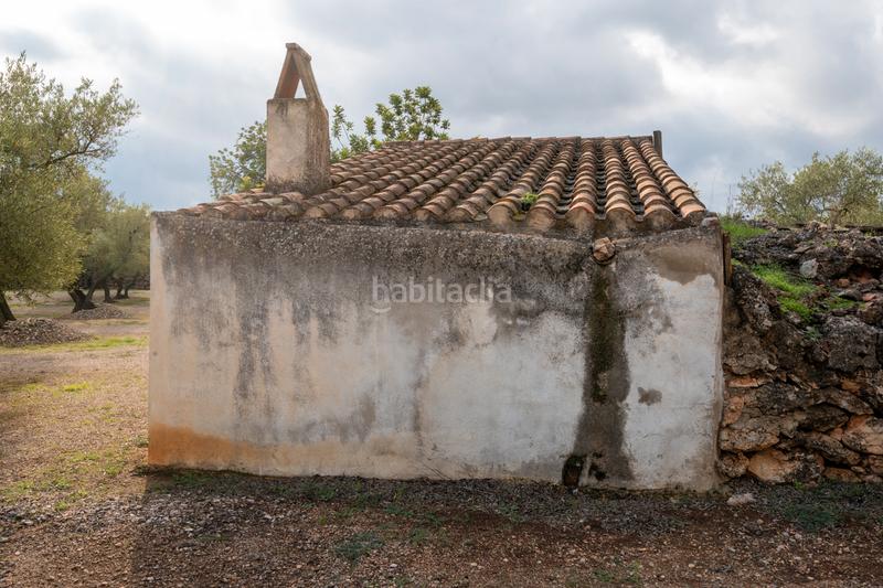 Foto 0f3e14d4-5b5d-4603-b82f-0ba8e0d28702. Propriété dans tp-3311 13 dans Ulldecona