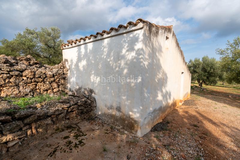 Foto 146f68cc-3851-4ea2-84d4-e68007bec66b. Propriété dans tp-3311 13 dans Ulldecona