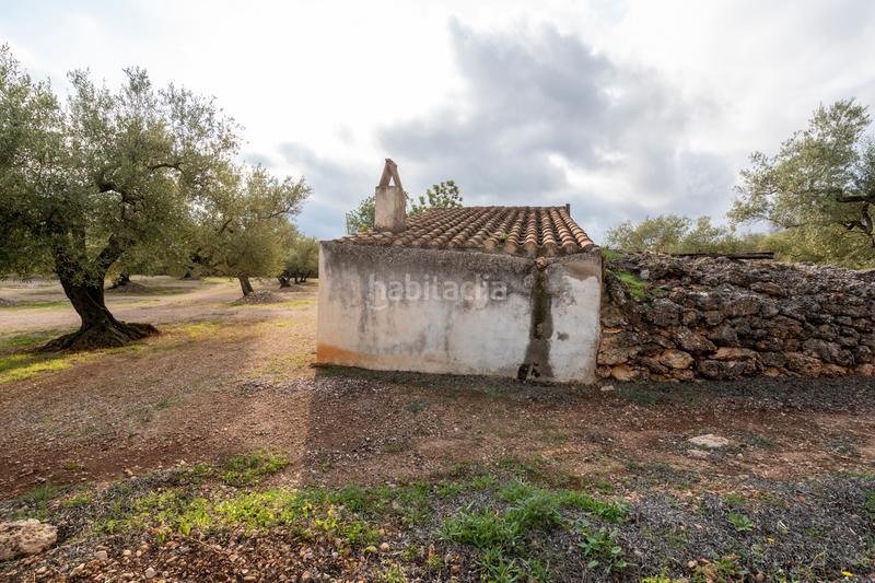 Foto 3712a9c8-159e-4b53-b34a-0fe0b2c50383. Propriété dans tp-3311 13 dans Ulldecona