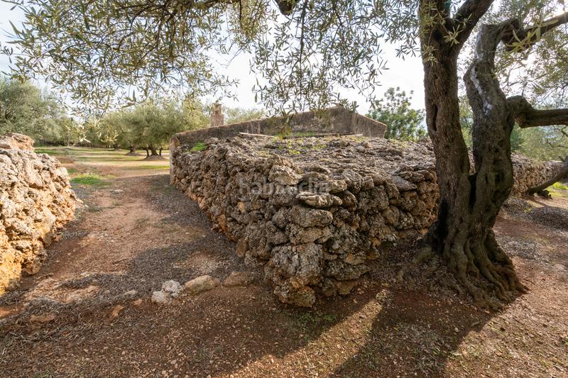 Foto 572c1518-2675-41ba-94c8-cf7188e90044. Propriété dans tp-3311 13 dans Ulldecona