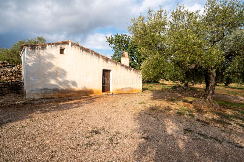 Foto 5a2b96fe-5f0c-4315-b5c4-ad521d42f007. Propriété dans tp-3311 13 dans Ulldecona