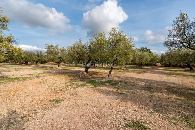 Foto 9da741f5-ebd1-41b8-a1d7-a20577f5dd8f. Propriété dans tp-3311 13 dans Ulldecona