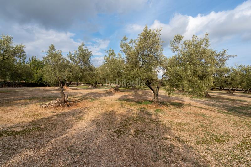 Foto fa68b08c-dfed-4b72-9a79-afa6d506d9f0. Propriété dans tp-3311 13 dans Ulldecona