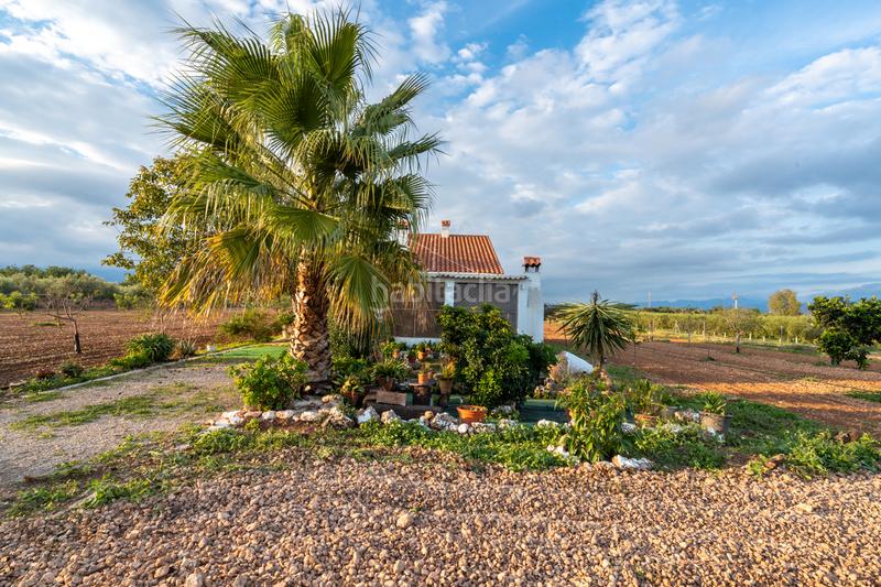 Foto 0677f013-6225-4478-b720-9efaf040581d. Finca rústica a carretera del cementiri 9 a Santa Bàrbara