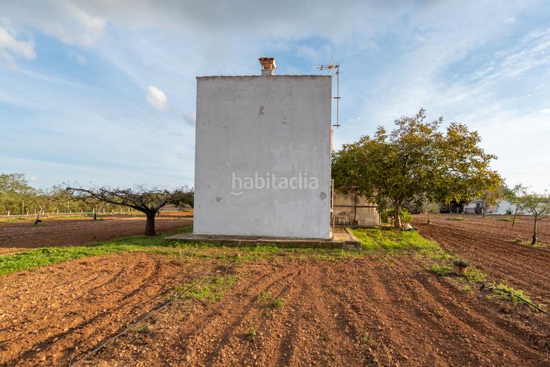 Foto 0ccc7003-6317-422a-b61f-898b7f563720. Finca rústica a carretera del cementiri 9 a Santa Bàrbara