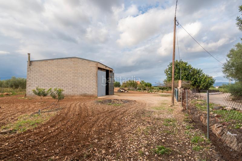 Foto 1a7f171b-0827-4d91-adf4-b7c4d4710fab. Finca rústica a carretera del cementiri 9 a Santa Bàrbara