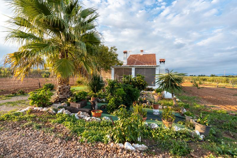 Foto 1e63e4d4-8baa-460b-a9a2-ee4955e59f80. Finca rústica a carretera del cementiri 9 a Santa Bàrbara