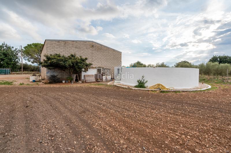 Foto 4c2c79e2-6a74-46b0-a568-c00051d36e9c. Finca rústica a carretera del cementiri 9 a Santa Bàrbara