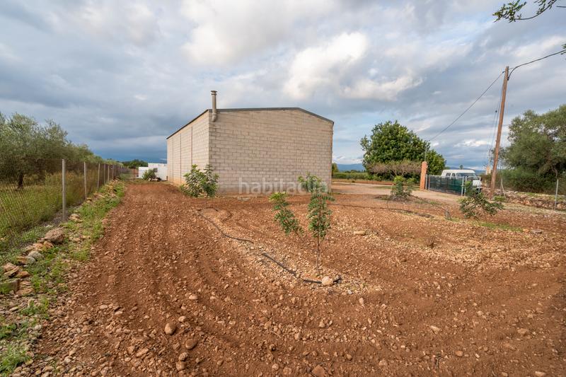 Foto 73f9cf18-a289-430d-b4cb-4396814b2946. Finca rústica a carretera del cementiri 9 a Santa Bàrbara